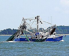 Oceanfront Hilton Head Island Condo w/ Pool Access