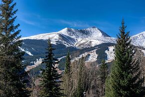 Downtown Breckenridge Cottage: Walk to Main St!