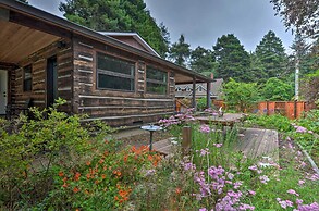 Quiet & Cozy Eureka Home Near Sequoia Park & Zoo!