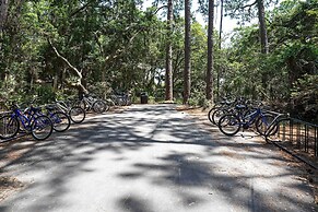 Remodeled Cottage on Sparrow Pond, Walk to Beach!