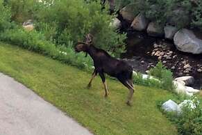 Ski-in/ski-out Solitude Condo w/ Rooftop Hot Tub!