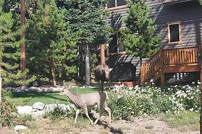 1 Mi to Grand Lake: Family-friendly Gem w/ Hot Tub