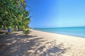 Loiza Condo w/ Rooftop Patio - Walk to Beach!
