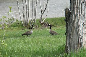 'the River Home' Cabin w/ Yard: Near Wolf Creek!
