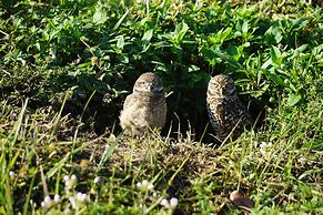 Gorgeous Cape Coral Duplex Home w/ Modern Interior