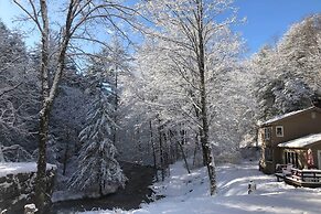 'the Mill River Cabin w/ Fireplace & River View!