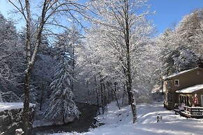'the Mill River Cabin w/ Fireplace & River View!