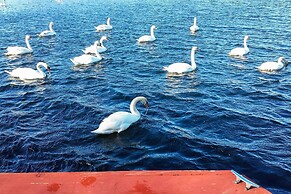 Pond Access & Private Dock: East Wareham Home