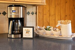 'lazy Bear Lodge' in Florissant w/ Mountain Views!