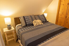 'lazy Bear Lodge' in Florissant w/ Mountain Views!