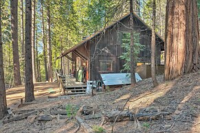 Walk Downtown: Arnold Cabin w/ Large Deck!