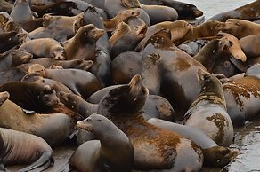 'astoria Painted Lady' Historic Apt w/ River View!