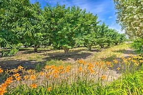 Charming Lodi Retreat: Walk to Local Wineries