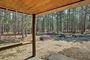 Private South Boardman Cabin on 10 Forest Acres!