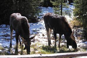 Fairplay Cabin w/ Mountain Views ~ 25 Mi to Breck!