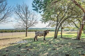 Beautiful Hill Country Ranch Home - 4 Mi to Town!