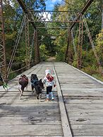 Little Yellow Cottages
