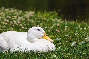 Lakeside Cottage w/ Porch in Pocono Mountains