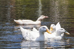 Lakeside Cottage w/ Porch in Pocono Mountains
