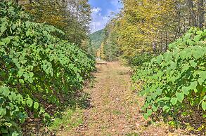 Home on Shared 10 Acres, On-site Trail Access