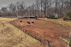 Cozy Rixeyville Cottage w/ Deck, Grill, & Stabling