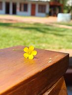 Orquideas de la Selva