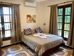 Orquideas de la Selva