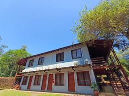 Orquideas de la Selva