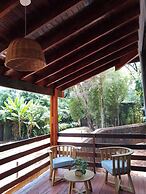 Orquideas de la Selva