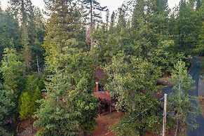 Deck + Grill: Mtn Haven in Stanislaus Nat'l Forest