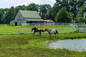 Renovated Bunkhouse on 12-acre Horse Farm!