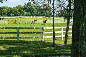 Renovated Bunkhouse on 12-acre Horse Farm!