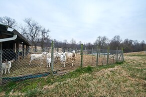Nature Getaway w/ On-site Trails, 17 Mi to DC!