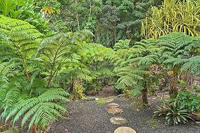 Hilo Oasis - 32 Mi to Volcanoes National Park!