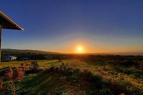'the Aloha Green House' Retreat w/ Ocean Views!