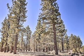Peaceful Cozy Cabin ~ 3 Mi to Big Bear Lake!