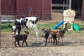 Farm Living w/ Fresh Harvest: Goshen Studio!