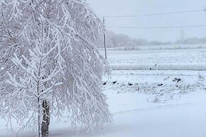 Farm Living w/ Fresh Harvest: Goshen Studio!