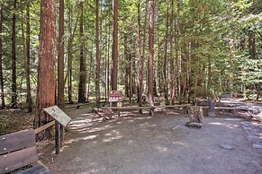 Redwoods Cabin w/ Hot Tub: Walk to Russian River!