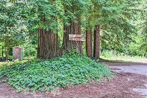 Redwoods Cabin w/ Hot Tub: Walk to Russian River!