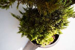 Hotel & RV PARK Rosa Evelyn