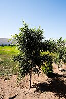 Hotel & RV PARK Rosa Evelyn