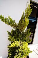 Hotel & RV PARK Rosa Evelyn