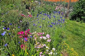 Near Red Rocks, Hiking & Skiing: Kittredge Condo!