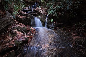 'peaceful Getaway' Penrose Cabin w/ Hot Tub & Pond