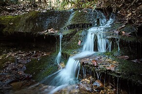 'peaceful Getaway' Penrose Cabin w/ Hot Tub & Pond