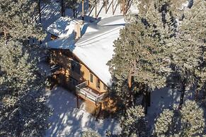 'altitude Adjustment' Angel Fire Cabin w/ Deck