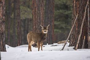 'altitude Adjustment' Angel Fire Cabin w/ Deck