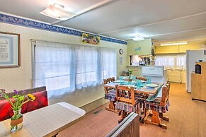 Athens Vintage Fishing Cabin on Elk River!