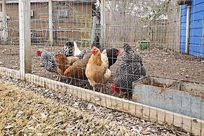 Round Rock Lakefront Home w/ Water Toys & Fire Pit